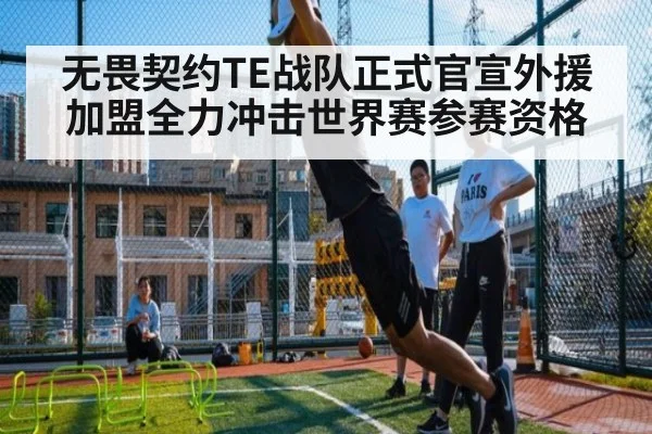 无畏契约TE战队正式官宣外援加盟全力冲击世界赛参赛资格