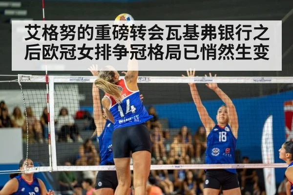艾格努的重磅转会瓦基弗银行之后欧冠女排争冠格局已悄然生变